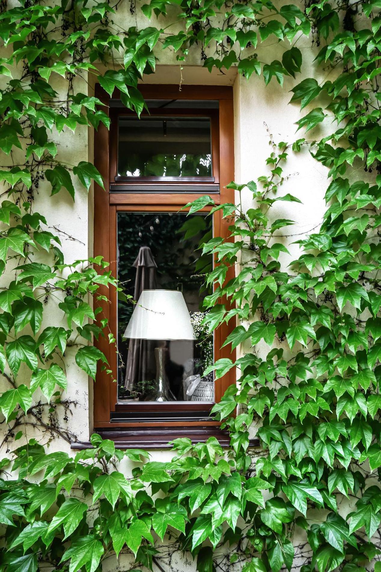 Shato Luxe Odessa Exterior foto